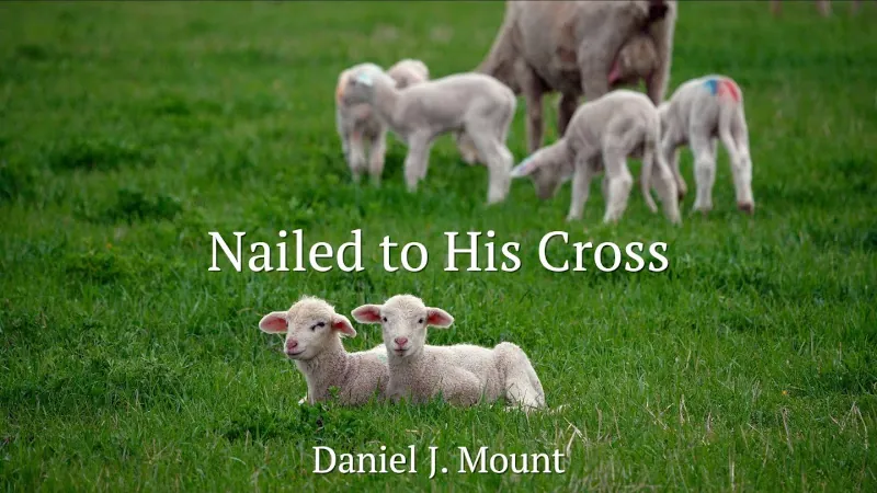 Image of sheep with the superimposed text "Nailed to His Cross Daniel J. Mount"
